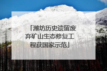 潍坊历史遗留废弃矿山生态修复工程获国家示范