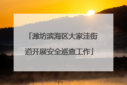 潍坊滨海区大家洼街道开展安全巡查工作