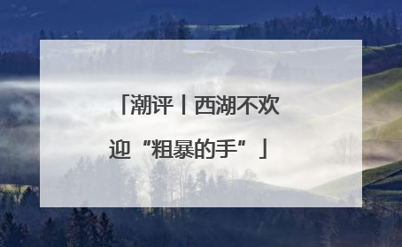 潮评丨西湖不欢迎“粗暴的手”