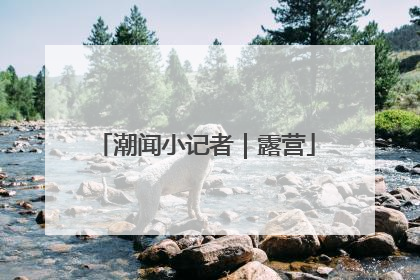 潮闻小记者｜露营