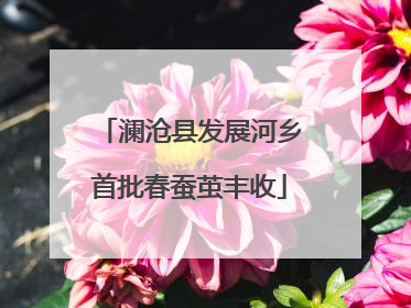 澜沧县发展河乡首批春蚕茧丰收