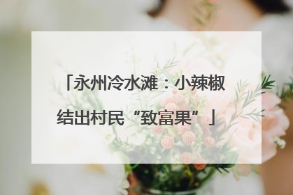 永州冷水滩：小辣椒结出村民“致富果”