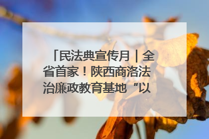 民法典宣传月｜全省首家！陕西商洛法治廉政教育基地“以案说纪”润人心