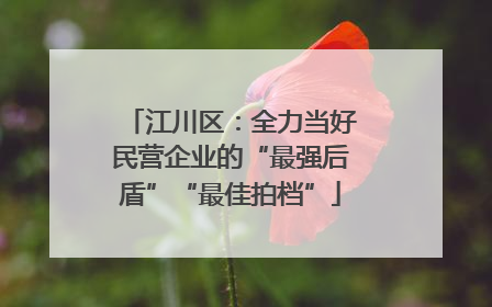 江川区：全力当好民营企业的“最强后盾”“最佳拍档”