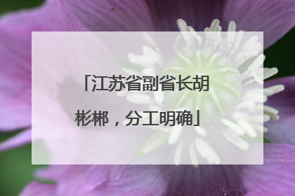 江苏省副省长胡彬郴，分工明确