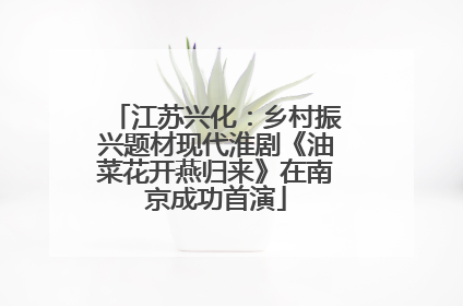 江苏兴化：乡村振兴题材现代淮剧《油菜花开燕归来》在南京成功首演