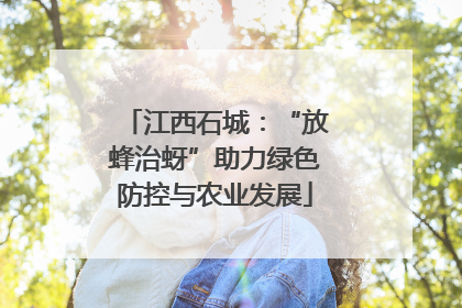 江西石城：“放蜂治蚜”助力绿色防控与农业发展