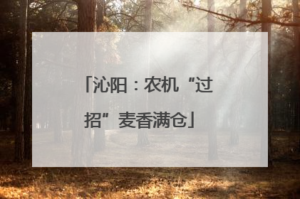 沁阳：农机“过招”麦香满仓