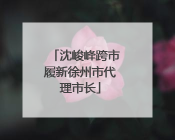 沈峻峰跨市履新徐州市代理市长