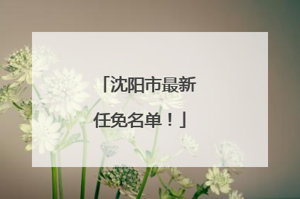 沈阳市最新任免名单！