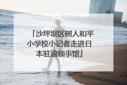 沙坪坝区树人和平小学校小记者走进日本驻渝领事馆