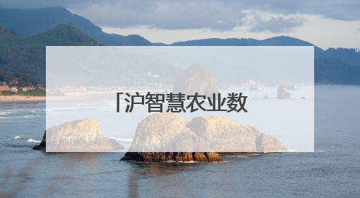 沪智慧农业数据创新中心揭牌，金山农业数据产品首单成交