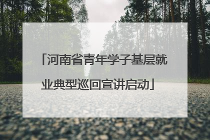 河南省青年学子基层就业典型巡回宣讲启动