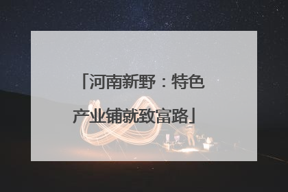 河南新野：特色产业铺就致富路