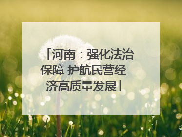 河南：强化法治保障 护航民营经济高质量发展