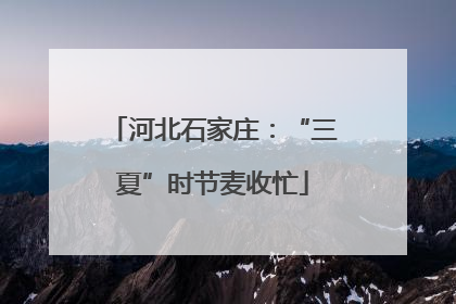 河北石家庄：“三夏”时节麦收忙