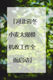 河北省冬小麦大规模机收工作全面启动