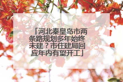 河北秦皇岛市两条路规划多年始终未建？市住建局回应年内有望开工