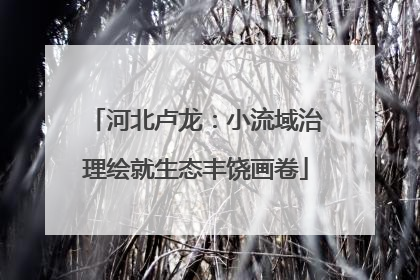 河北卢龙：小流域治理绘就生态丰饶画卷