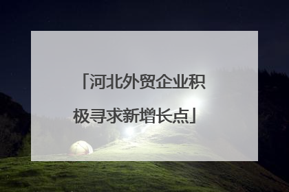 河北外贸企业积极寻求新增长点