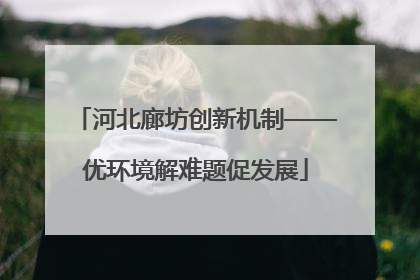 河北廊坊创新机制——优环境解难题促发展