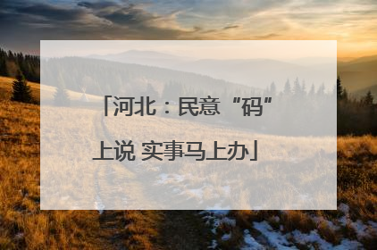 河北：民意“码”上说 实事马上办