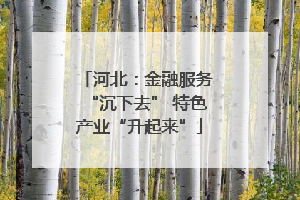 河北：金融服务“沉下去” 特色产业“升起来”