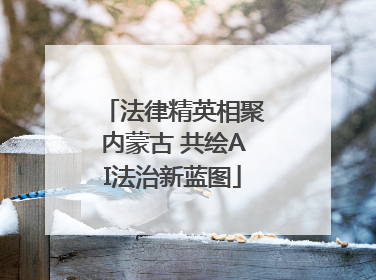 法律精英相聚内蒙古 共绘AI法治新蓝图