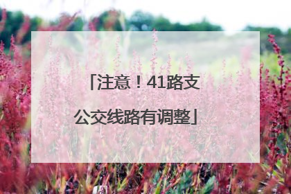 注意！41路支公交线路有调整