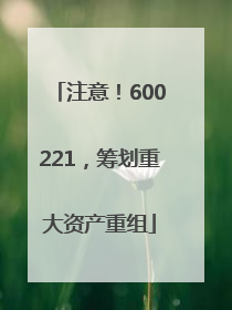 注意！600221，筹划重大资产重组