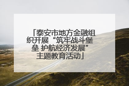 泰安市地方金融组织开展“筑牢战斗堡垒 护航经济发展”主题教育活动