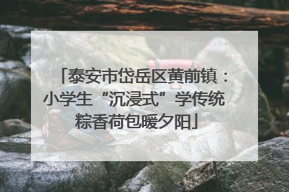 泰安市岱岳区黄前镇：小学生“沉浸式”学传统 粽香荷包暖夕阳