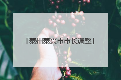 泰州泰兴市市长调整