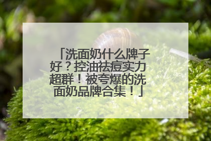 洗面奶什么牌子好？控油祛痘实力超群！被夸爆的洗面奶品牌合集！