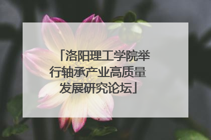 洛阳理工学院举行轴承产业高质量发展研究论坛