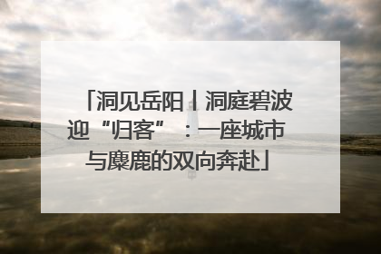 洞见岳阳丨洞庭碧波迎“归客”：一座城市与麋鹿的双向奔赴