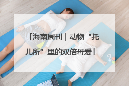 海南周刊｜动物“托儿所”里的双倍母爱