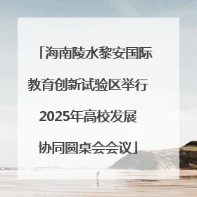 海南陵水黎安国际教育创新试验区举行2025年高校发展协同圆桌会会议