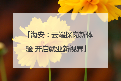 海安：云端探岗新体验 开启就业新视界