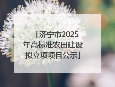 济宁市2025年高标准农田建设拟立项项目公示