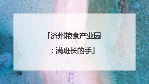 济州粮食产业园：满班长的手