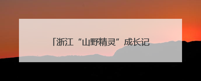 浙江“山野精灵”成长记：万物共生绘就和美画卷