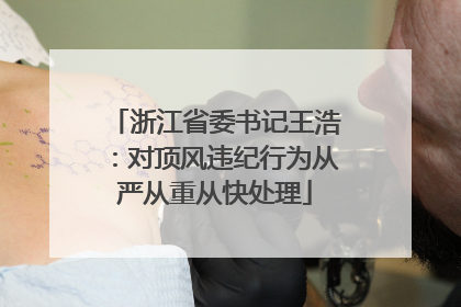 浙江省委书记王浩：对顶风违纪行为从严从重从快处理