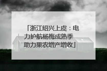 浙江绍兴上虞：电力护航杨梅成熟季 助力果农增产增收