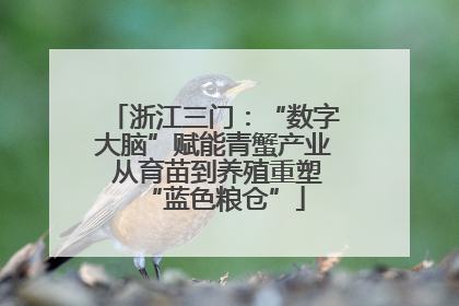 浙江三门：“数字大脑”赋能青蟹产业 从育苗到养殖重塑“蓝色粮仓”