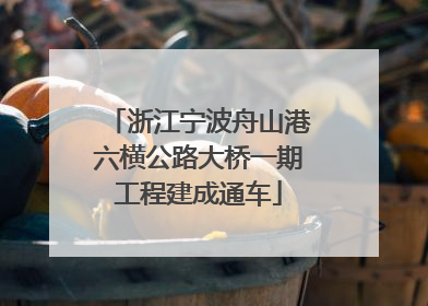 浙江宁波舟山港六横公路大桥一期工程建成通车