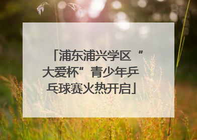 浦东浦兴学区“大爱杯”青少年乒乓球赛火热开启