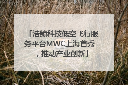 浩鲸科技低空飞行服务平台MWC上海首秀，推动产业创新
