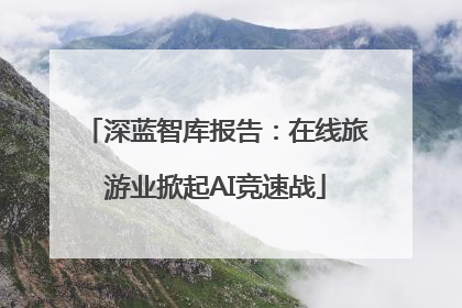 深蓝智库报告：在线旅游业掀起AI竞速战
