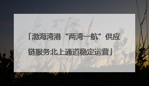渤海湾港“两湾一航”供应链服务北上通道稳定运营